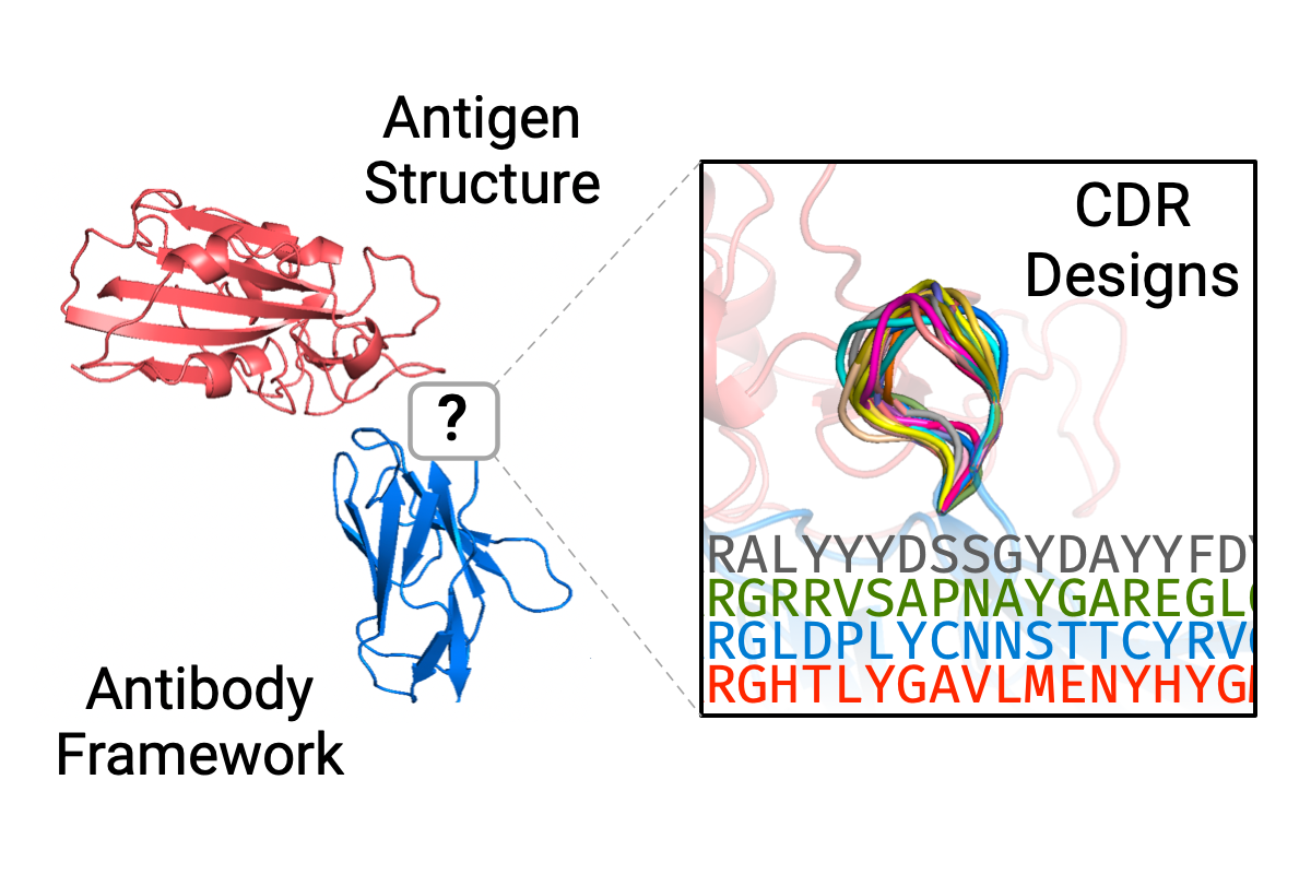 Antigen-Specific Antibody Design and Optimization with Diffusion-Based Generative Models for Protein Structures