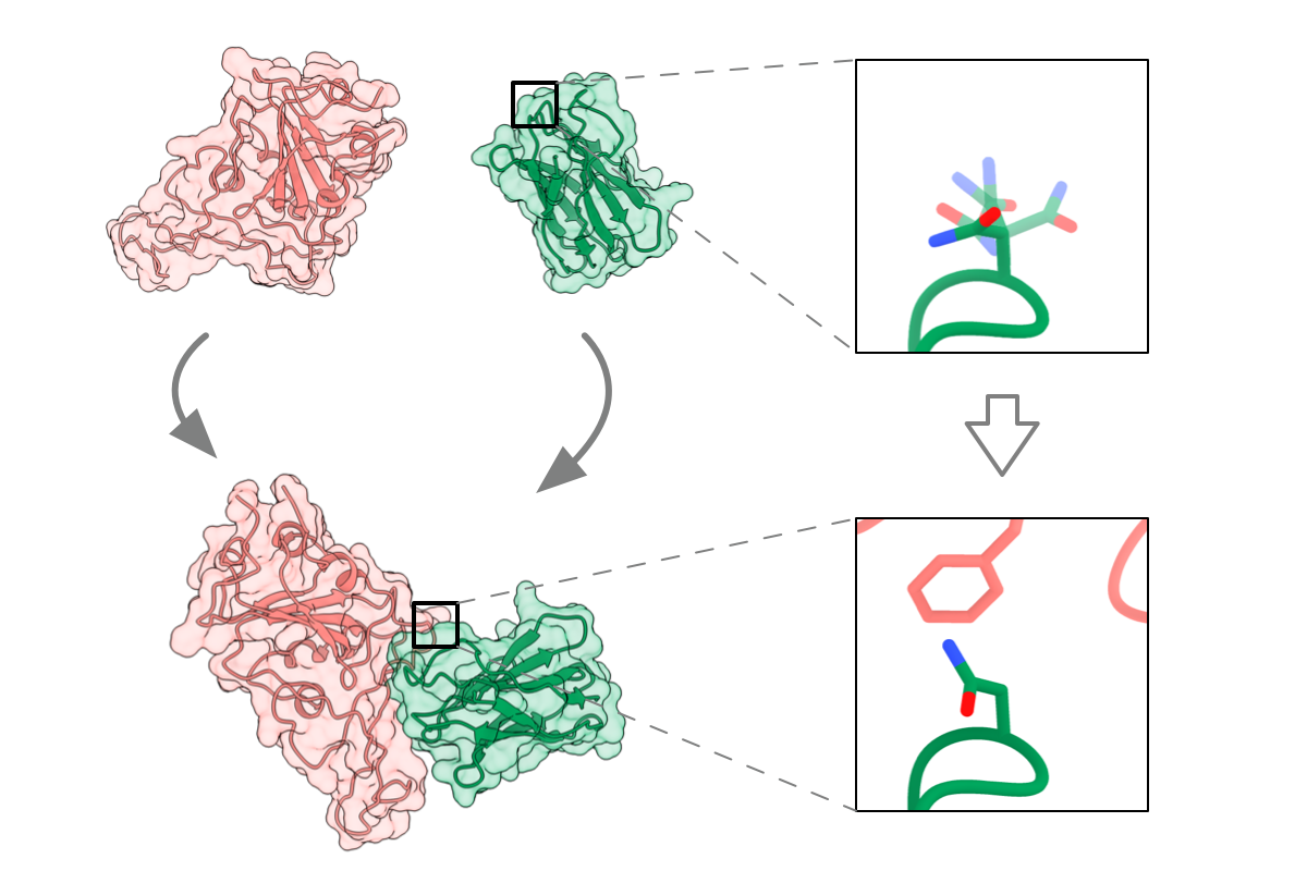 Rotamer Density Estimator is an Unsupervised Learner of the Effect of Mutations on Protein-Protein Interaction