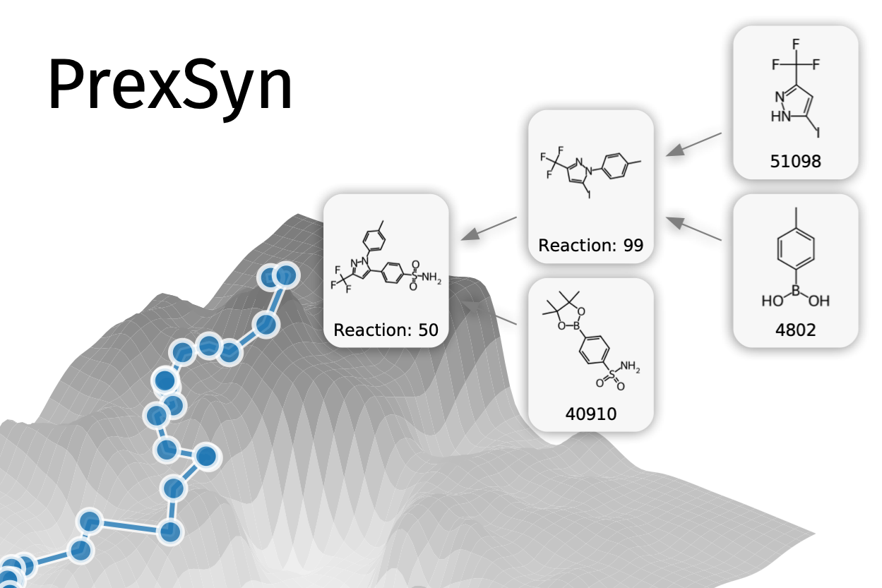 Efficient and Programmable Exploration of Synthesizable Chemical Space